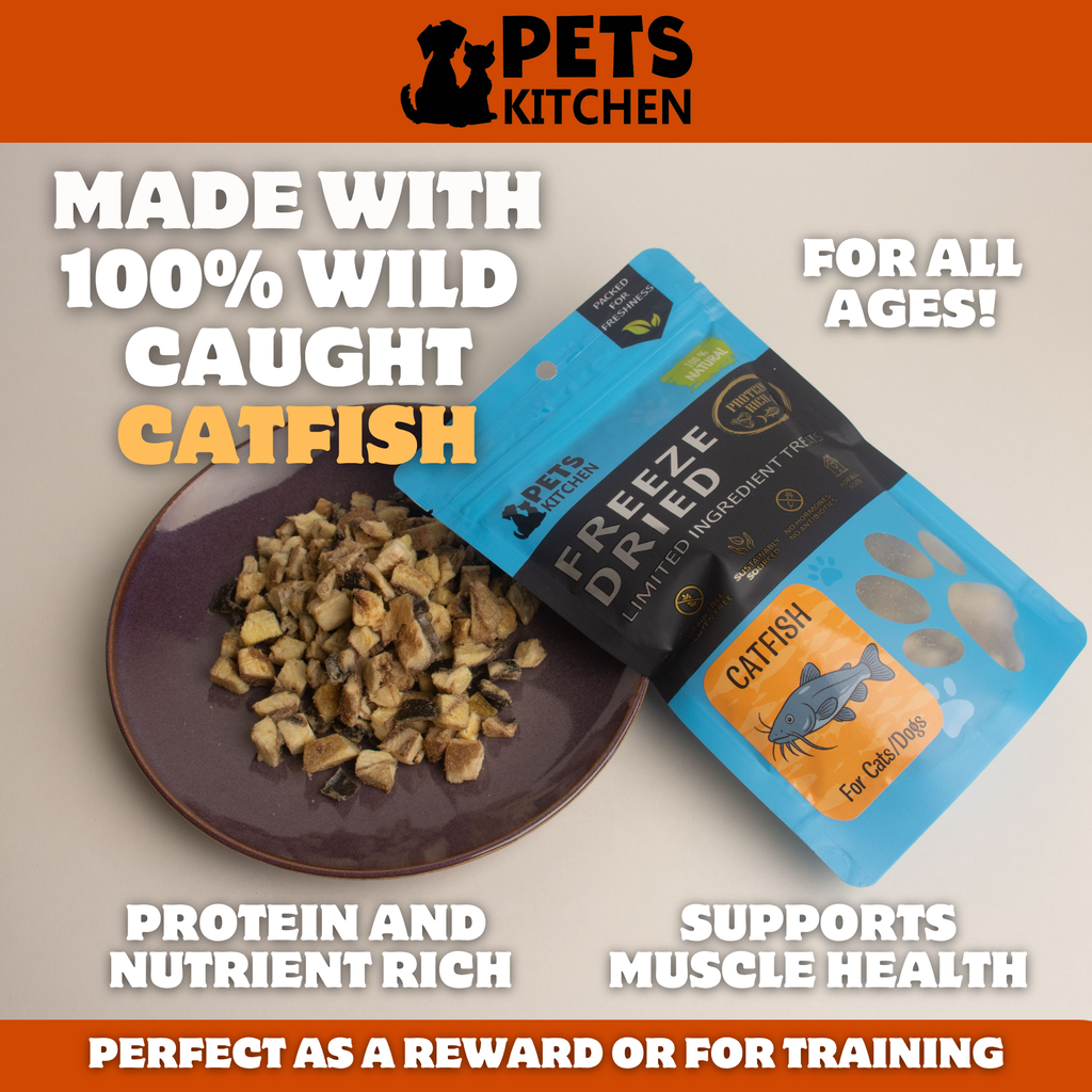 Freeze Dried Catfish for Cats & Dogs (40g)